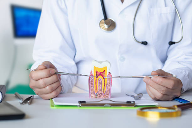 Best Urgent Dental Care  in Bel Air North, MD